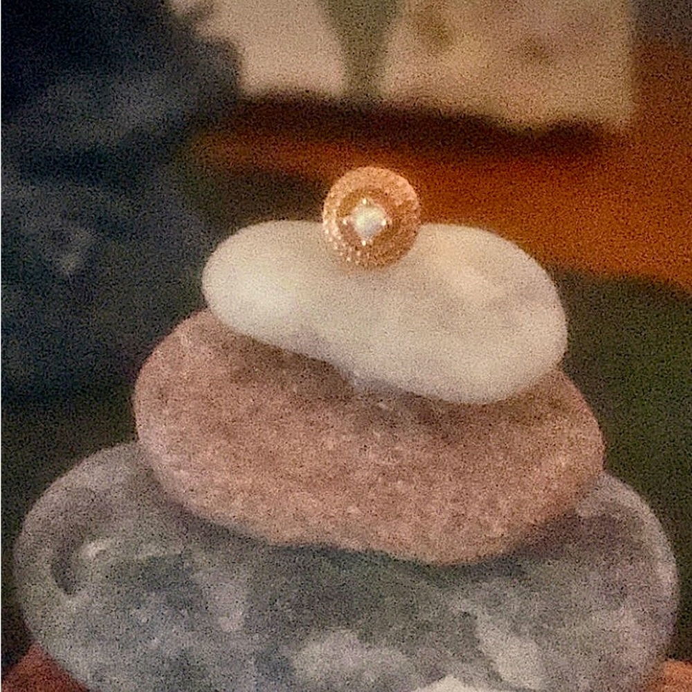 Junipurr 14k Rose Gold Round Double Millgrain